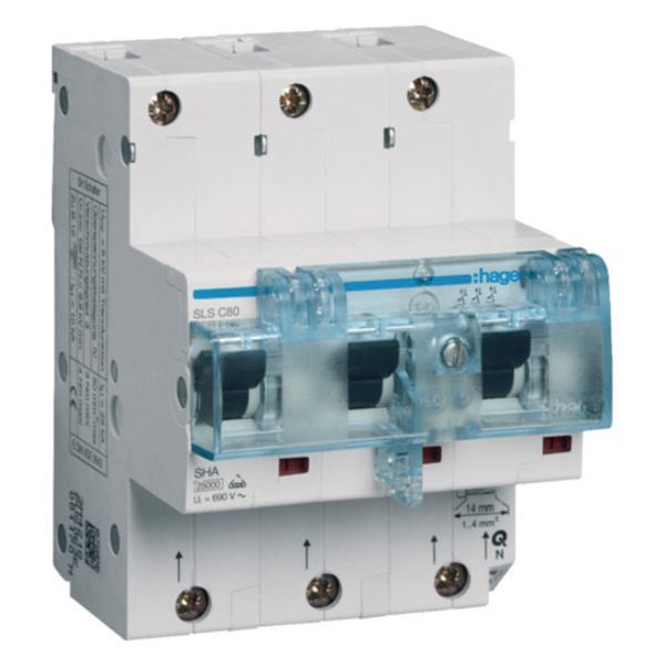 SLS switch 3-pole Cs characteristic 80A for DIN rail mounting image 1