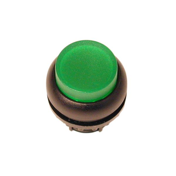 Illuminated pushbutton actuator, RMQ-Titan, Extended, momentary, green, Blank, Bezel: black image 1