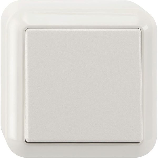 Cross switch, 1-pole, polar white, surface-mounted image 1