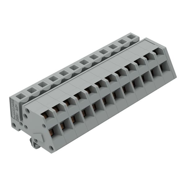 1-conductor female connector, angled CAGE CLAMP® 2.5 mm² gray image 1