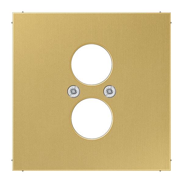 Centre plate for socket ME2962-2C image 1