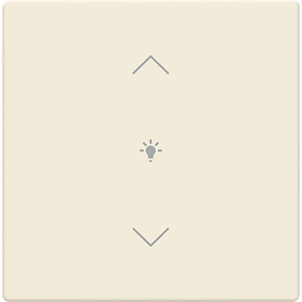 Cover for dimmer icon 1. Rocker keypad 63 image 1