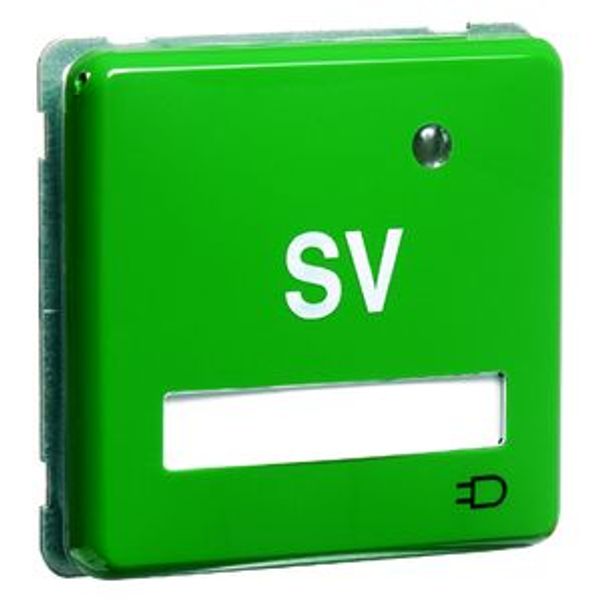 SCHUKO wandcontactdoos, groen SVmet tekstveld en controlelampje image 1