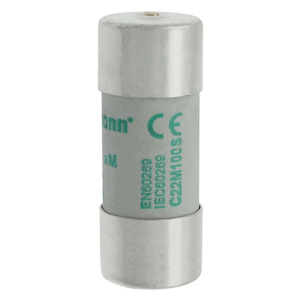 Fuse-link, LV, 100 A, AC 500 V, 22 x 58 mm, aM, IEC, with striker image 6