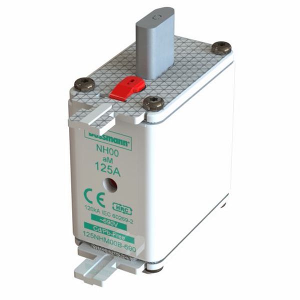 Fuse-link, low voltage, 100 A, AC 690 V, NH00, aM, IEC, dual indicator image 2