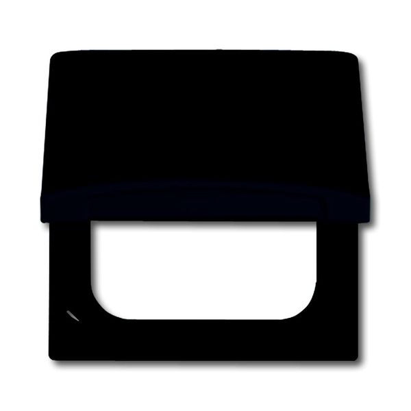 2118 GK-35 CoverPlates (partly incl. Insert) Flush-mounted, water-protected, special connecting devices Anthracite image 1
