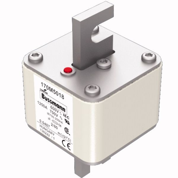 Fuse-link, high speed, 1250 A, AC 600 V, DIN 2, 61 x 61 x 108 mm, aR, DIN, IEC, single indicator, 80 mm centres image 2