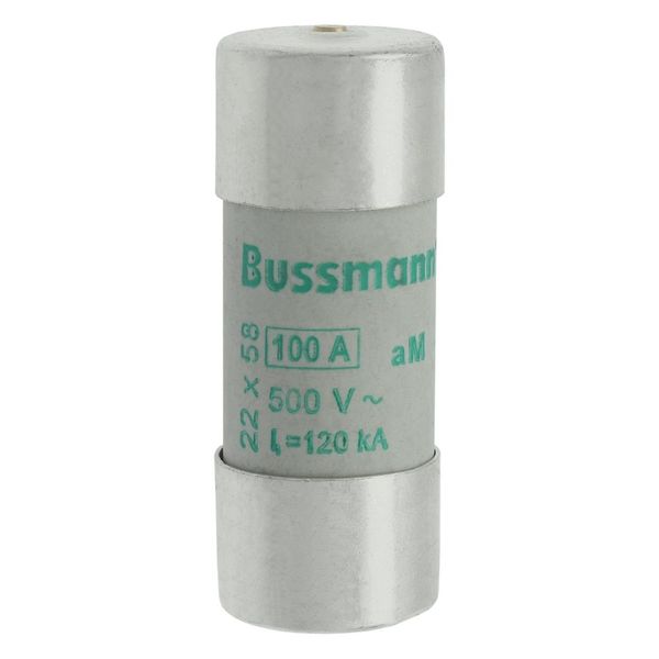 Fuse-link, LV, 100 A, AC 500 V, 22 x 58 mm, aM, IEC, with striker image 15