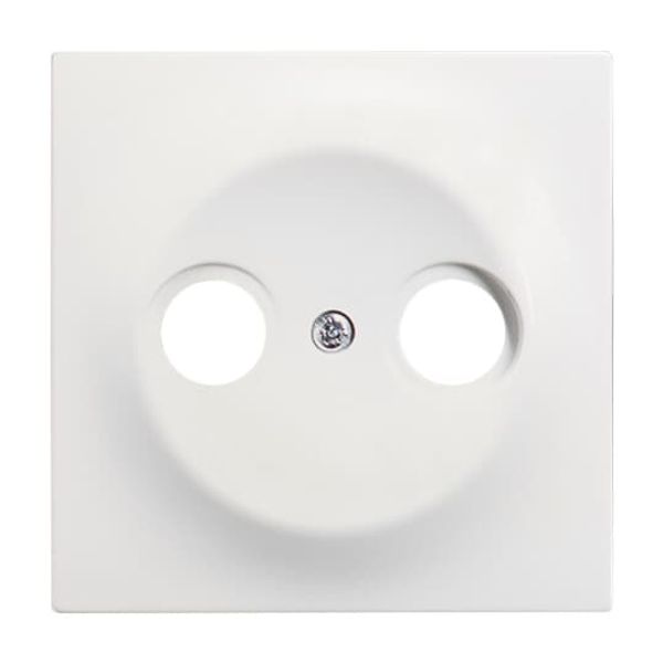 1746/10-774 CoverPlates (partly incl. Insert) carat® studio white matt image 3