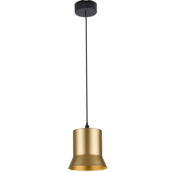 Pendant Light Gold D120 Forma image 1