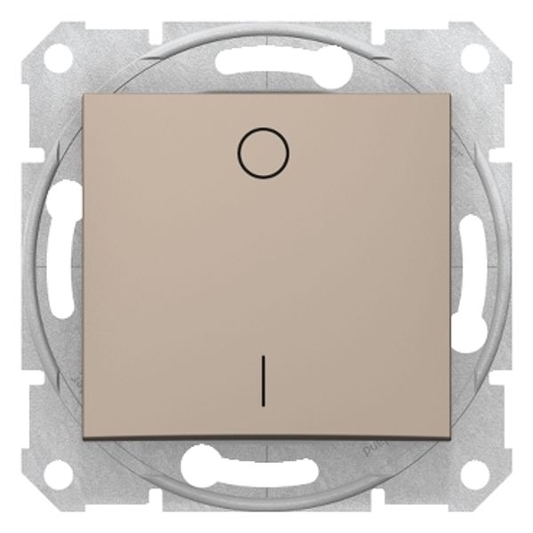 Sedna - 2pole switch - 16AX without frame titanium image 1