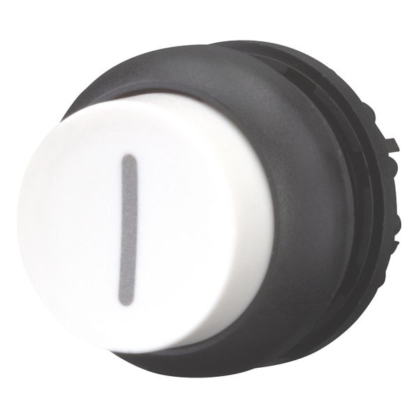 Pushbutton, RMQ-Titan, Extended, momentary, White, inscribed, Bezel: black image 3