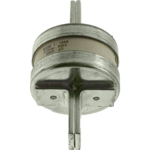 Fuse-link, low voltage, 560 A, AC 415 V, DC 250 V, 74 x 135 mm, gL/gG, BS image 3