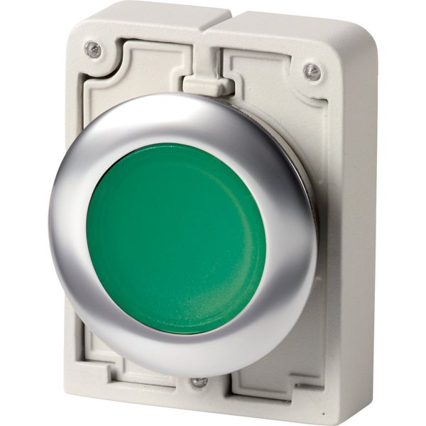 Illuminated pushbutton actuator, RMQ-Titan, flat, momentary, green, blank, Front ring stainless steel image 3