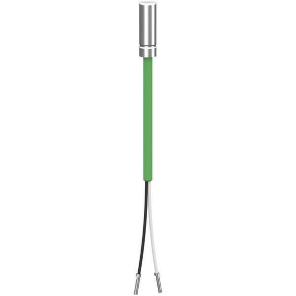 PT1000 PROBE METAL TIP IP68 5.0M image 1