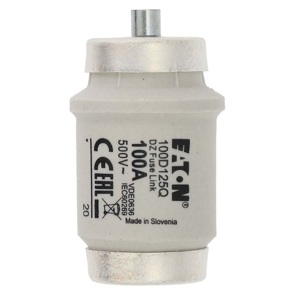 Fuse-link, LV, 100 A, AC 500 V, D4, gR, IEC, fast acting image 6