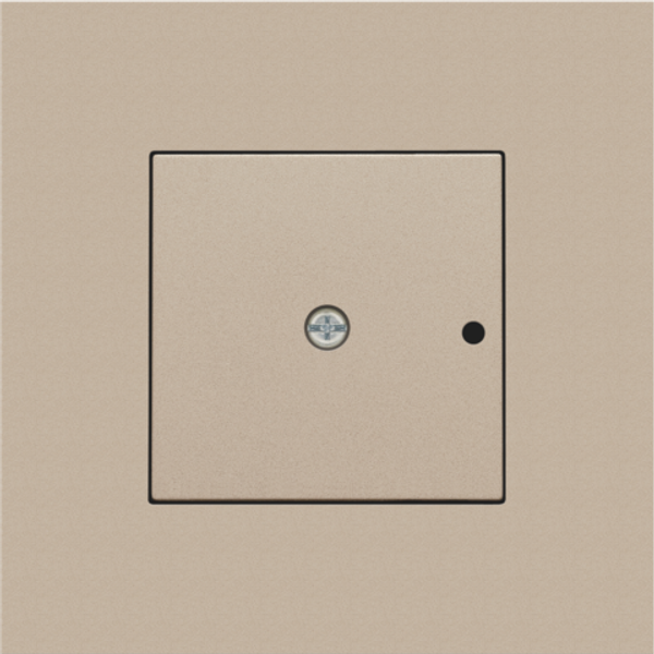 Finishing set for a 1-channel flush-mounting RF receiver with single-p image 2