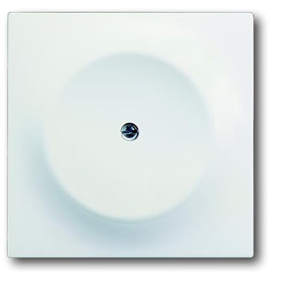 1742-774 CoverPlates (partly incl. Insert) carat® studio white matt image 1