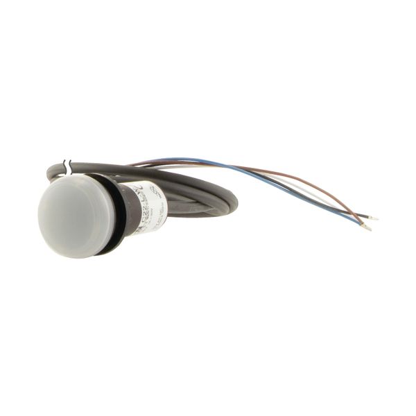 Indicator light, Flat, Cable (black) with non-terminated end, 4 pole, 1 m, Lens white, LED white, 24 V AC/DC image 7