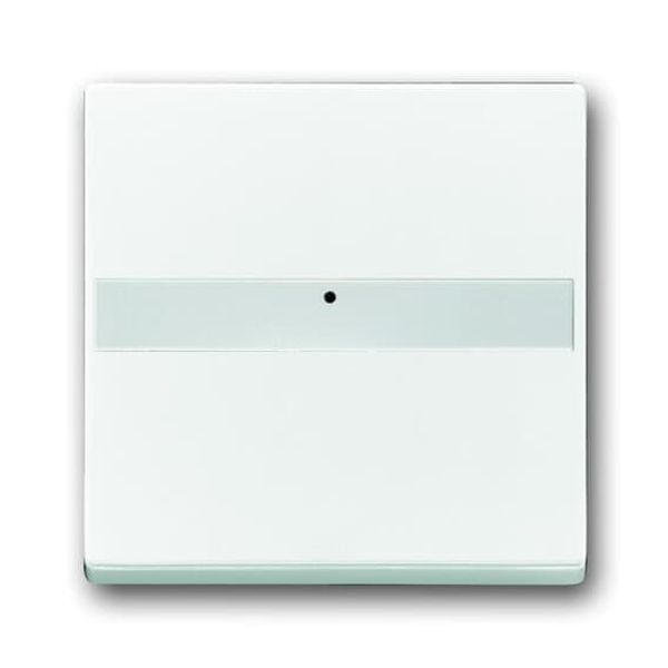 1764 NLI-84 CoverPlates (partly incl. Insert) future®, Busch-axcent®, solo®; carat® Studio white image 2