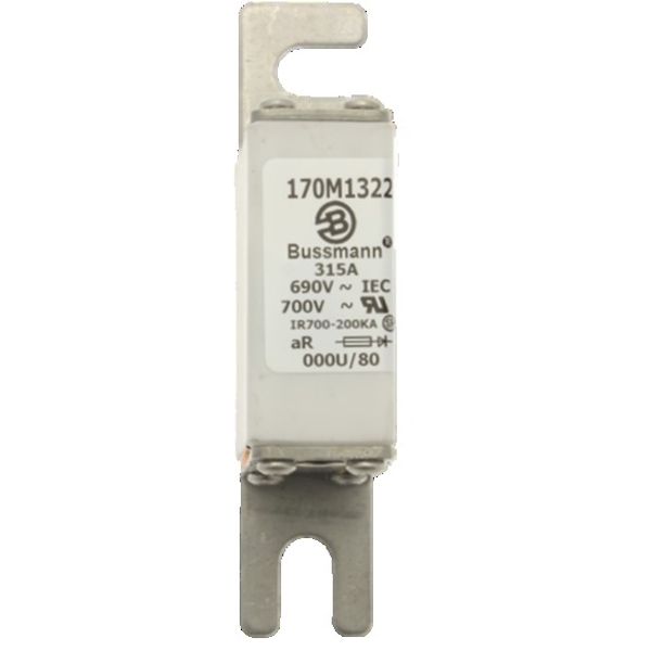 Fuse-link, high speed, 315 A, AC 690 V, DIN 000, 21 x 40 x 100 mm, aR, DIN, IEC image 2