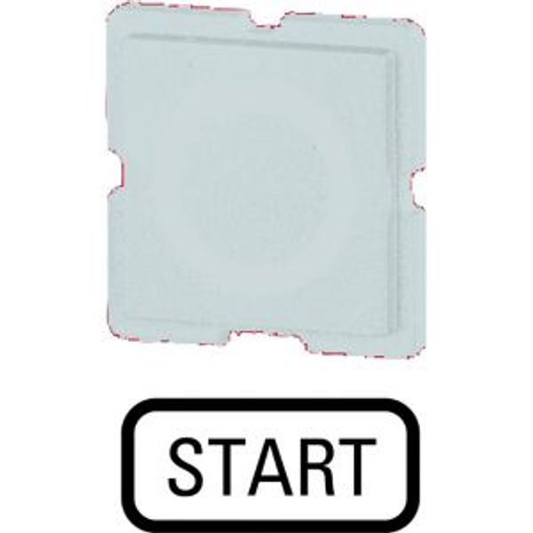 Button plate, white, START image 4