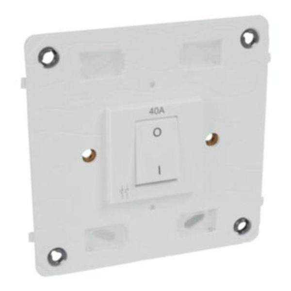 Double pole switch Arteor - 40 A 250 V~ - 4''x4'' - soft alu image 1