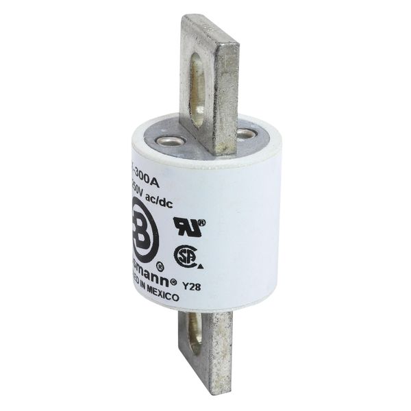 Class T Fuse Block  - 300V image 16