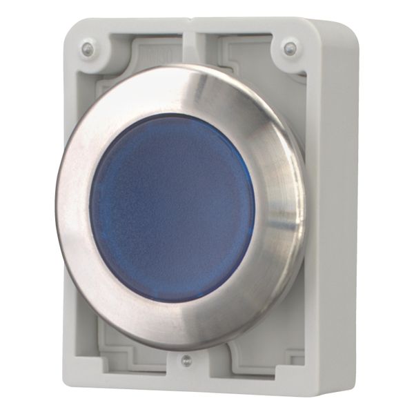 Illuminated pushbutton actuator, RMQ-Titan, flat, momentary, Blue, blank, Front ring stainless steel image 4