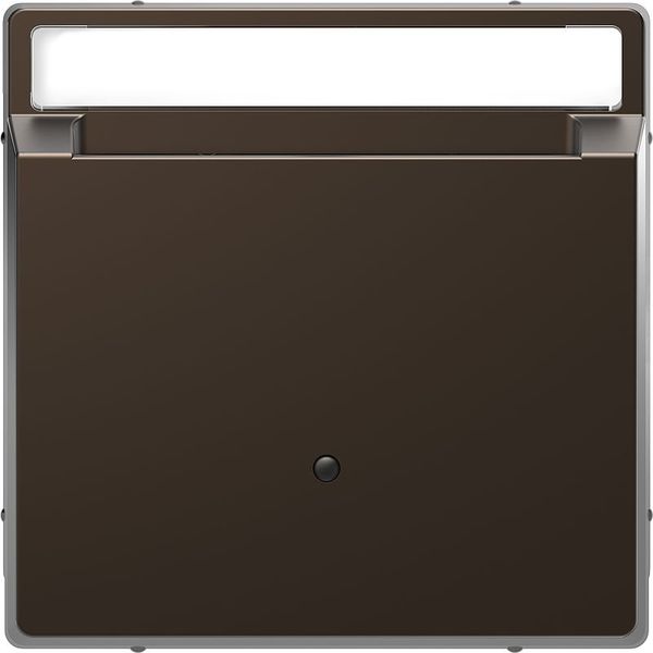 Card switch with lettering field, mocha metallic, system design image 1