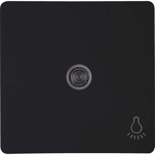 Rocker pad with lens and symbol "Light" image 1