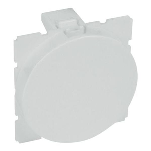 Blank module Arteor - round - 2 modules - soft alu image 1