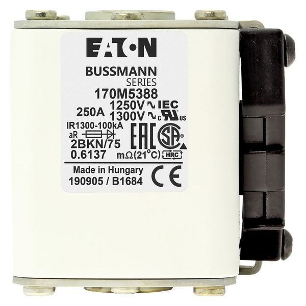 Fuse-link, high speed, 250 A, AC 1250 V, size 2, 61 x 75 x 77 mm, aR, IEC, UL, single indicator image 15