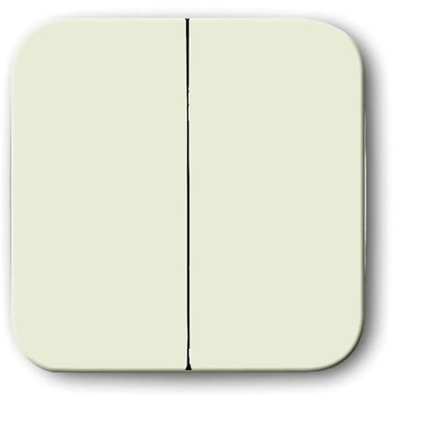 2545-212 CoverPlates (partly incl. Insert) carat® White image 1