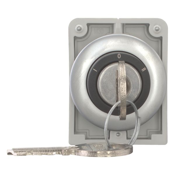 Key-operated actuator, Flat Front, maintained, 3 positions, Ronis 455, Key withdrawable: 0, Metal bezel image 5