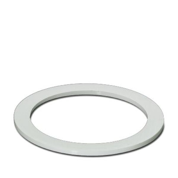 Flat gasket image 2