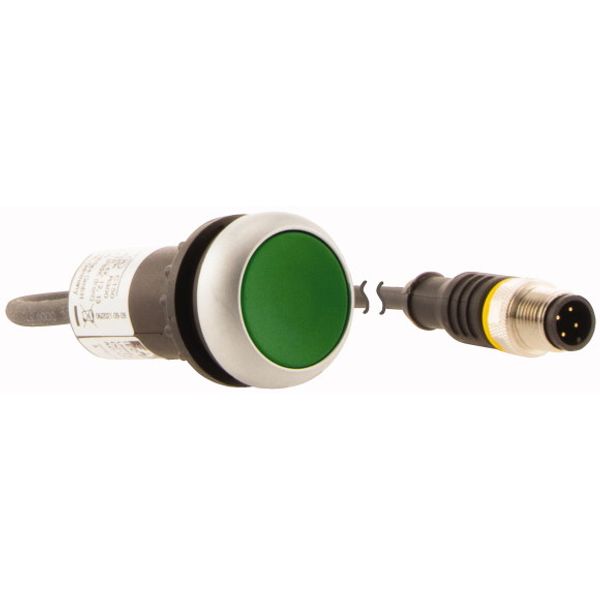 Pushbutton, flat, maintained, green, 1 N/O, with cable 0.5m and M12A plug image 4