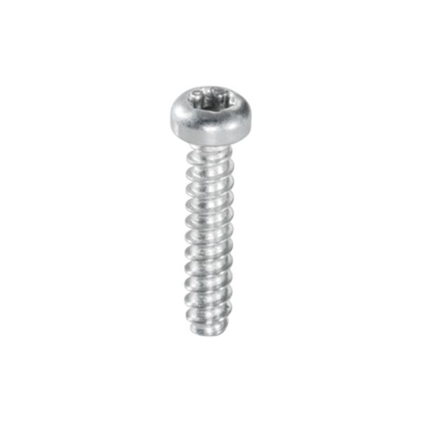 Mounting screw image 1