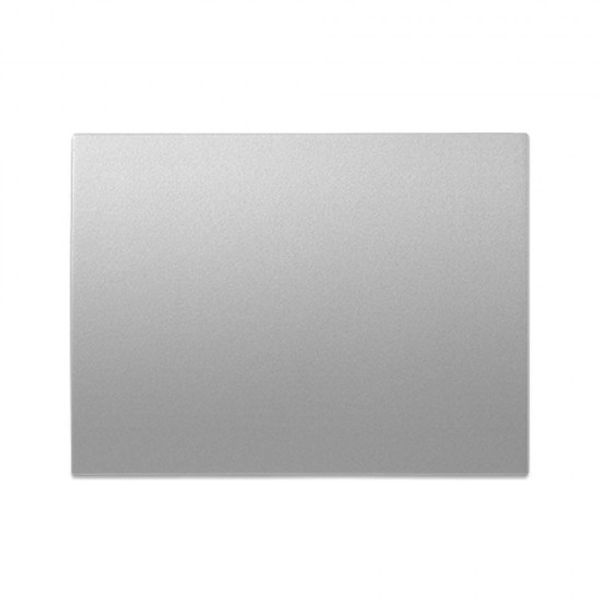 Thea Blu Accessory Metallic White Switch image 1