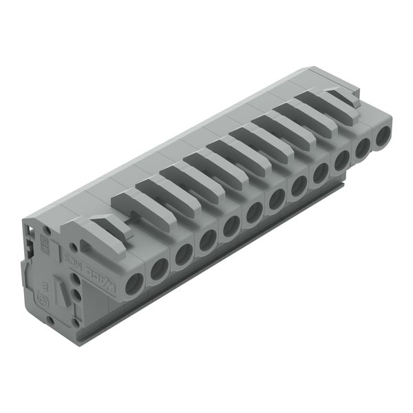 1-conductor female connector, angled CAGE CLAMP® 2.5 mm² gray image 2