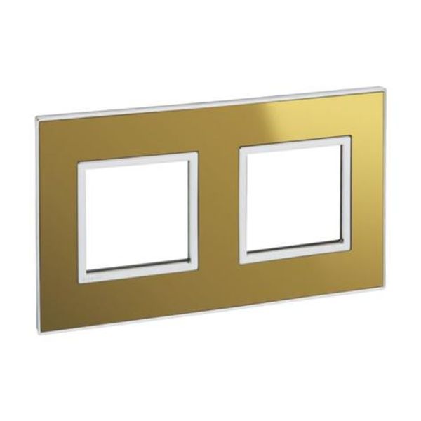 French and German standard plate square version 2x2 modules - reflective gold image 1