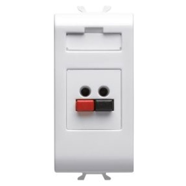 AUDIO AND VIDEO SOCKET - SPEAKER SOCKET - 1 MODULE - SATIN WHITE - CHORUSMART image 1