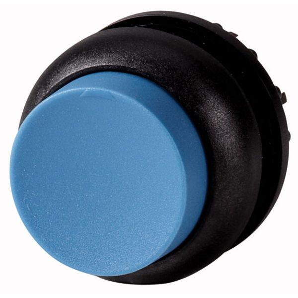 Pushbutton, RMQ-Titan, Extended, maintained, Blue, Blank, Bezel: black image 1