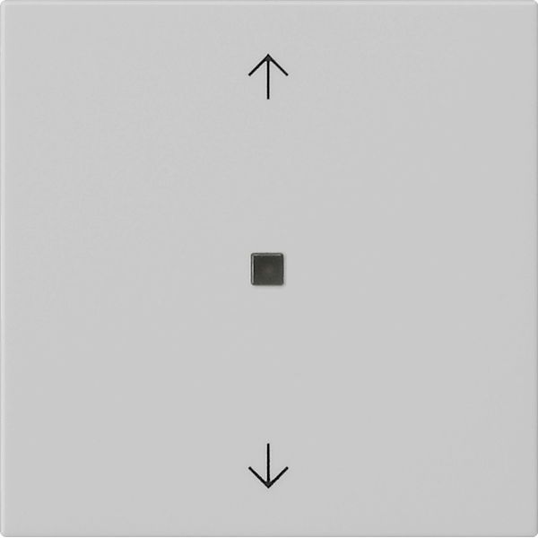 RF op.top 1-g arrows KNX System 55 grey m image 1