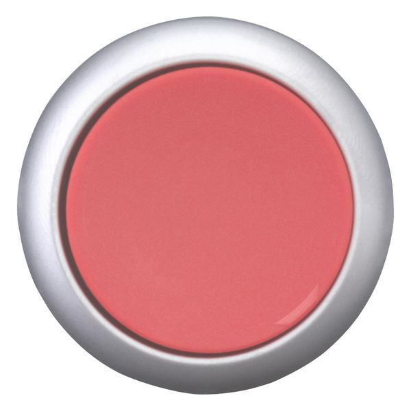 Pushbutton, RMQ-Titan, Flat, maintained, red, Blank, Bezel: titanium image 4