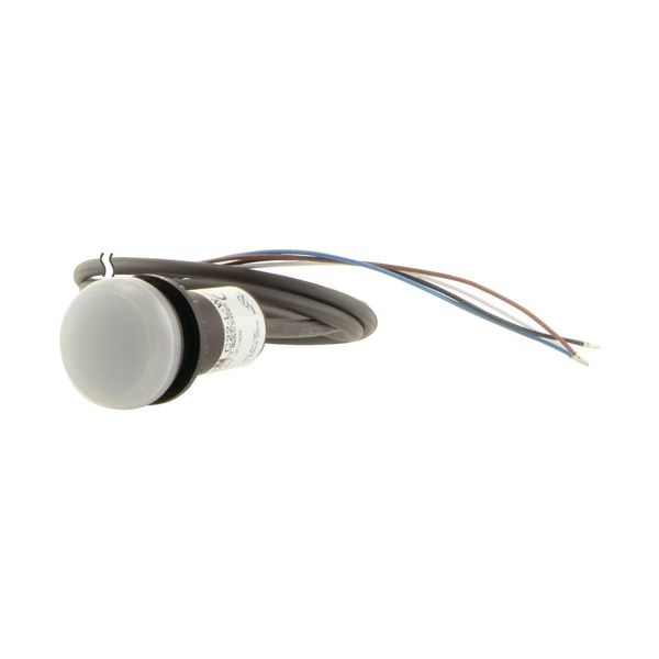 Indicator light, Flat, Cable (black) with non-terminated end, 4 pole, 3.5 m, Lens white, LED white, 24 V AC/DC image 9