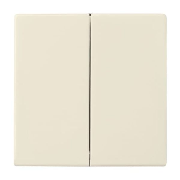 1789 LI-82 CoverPlates (partly incl. Insert) future®, solo®; carat®; Busch-dynasty® ivory white image 5