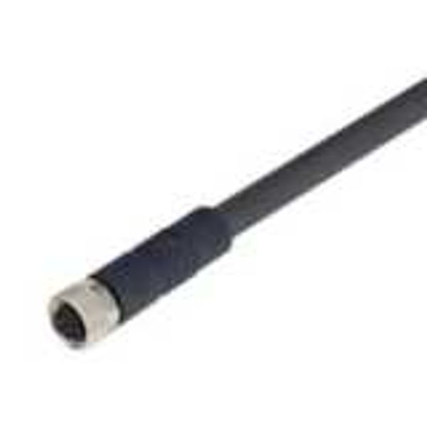 Female cable connector for D41D, straight, screw type M8, 8 poles, PUR D41D8008C image 2