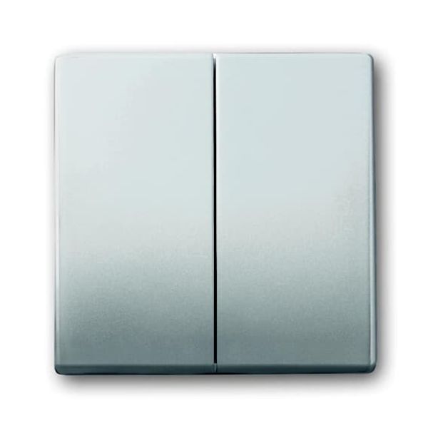 1785-866-500 CoverPlates (partly incl. Insert) pure stainless steel Stainless steel image 1