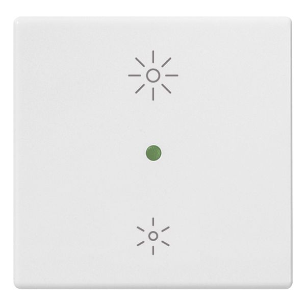 Button 2M regulation symbol white image 1